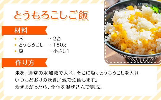 北海道 コーン 冷凍食品 1kg×2袋 セット 計2kg カーネルコーン 冷凍野菜 国産 トウモロコシ とうもろこし ホールコーン 冷凍 おかず お弁当 詰合せ お取り寄せ 送料無料 十勝 士幌町【N46】