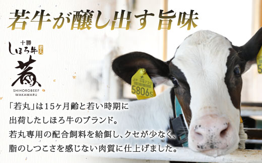 北海道 しほろ牛 若丸 モモ 切り落とし 250g×4パック 計1kg 牛 牛肉 ビーフ お肉 赤身 ブランド牛 国産 スライス モモ肉 おかず 冷凍 お取り寄せ 送料無料 十勝 士幌町 【SW02】