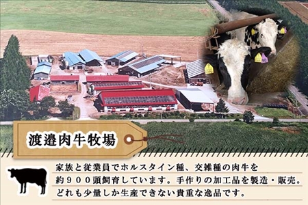 北海道 ビーフソーセージ 食べ比べ 計3袋 無塩漬 チーズ セット BBQ バーベキュー 牛 赤身肉 国産牛 肉 ビーフ 加工品 おかず 惣菜 お惣菜 おつまみ 国産 冷凍 詰合せ お取り寄せ 送料無料 十勝 士幌町【W01】