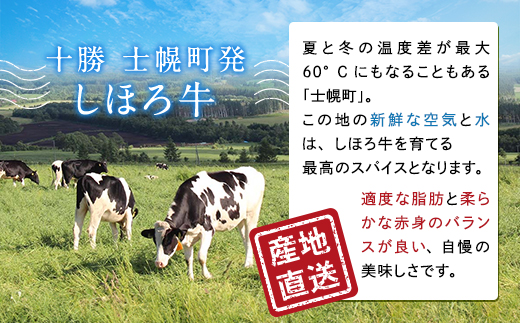 ■定期便■ 北海道 しほろ牛 定期便 全5回 牛肉 サーロイン ステーキ リブロース 切り落とし ローストビーフ 肉 牛 赤身肉 国産牛 肉 ビーフ 牛肉 冷凍 お惣菜 焼肉 頒布会 送料無料 十勝 士幌町【X22】