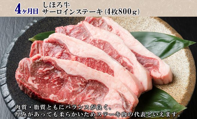 北海道 プレミアム 定期便 全4回 ゴロッケ ローストビーフ よつ葉 発酵バター 伝統造りバター フライドポテト しほろ牛  サーロイン ステーキ コロッケ 牛 肉 ビーフ セット 牛 赤身肉 国産牛 肉 ビーフ セット 国産 頒布会 送料無料 十勝 士幌町【X24】