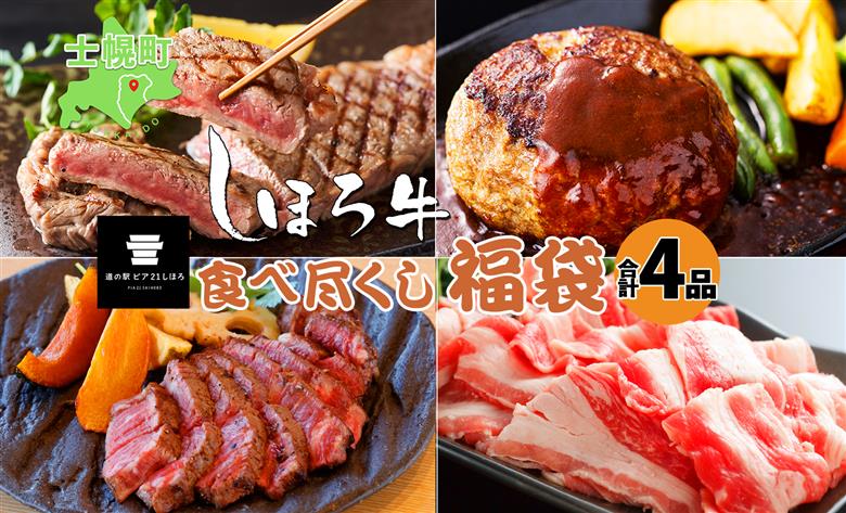 数量限定 食べ尽くし 福袋 4種 しほろ牛 フィレ サーロイン ステーキ 切り落とし ハンバーグ 牛肉 肉 惣菜 お惣菜 詰め合わせ セット お取り寄せ 道の駅 ピア21しほろ 送料無料 北海道 十勝 士幌町【L910】