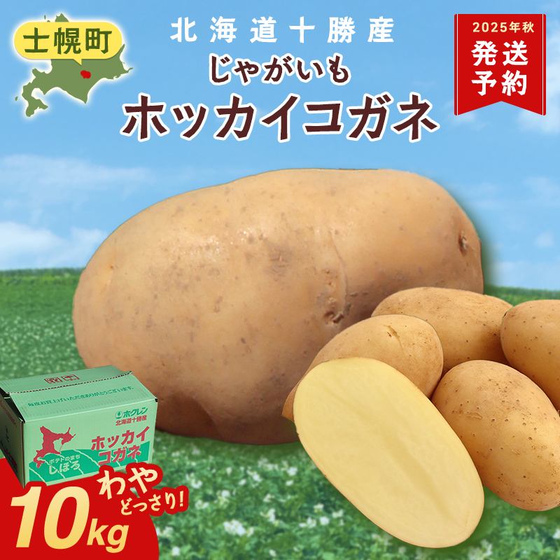 北海道 じゃがいも ホッカイコガネ 10kg 北海道産 十勝産 北海こがね 北海コガネ 北海黄金 ジャガイモ 芋 いも ポテト お取り寄せ まとめ買い 送料無料 十勝 士幌町 【V06】