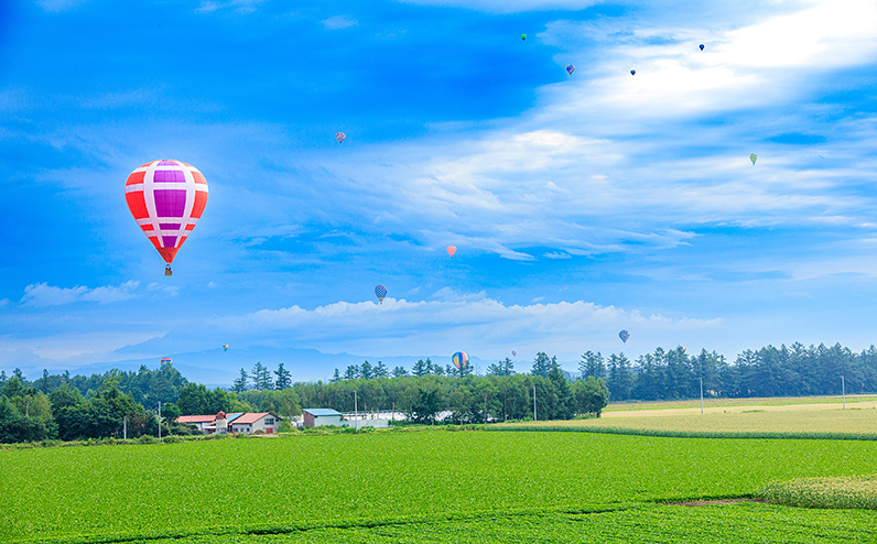 熱気球フリーフライト体験 2名様 カミシホロホテル宿泊付きプラン 北海道 十勝 旅行 トラベル ビジネスホテル 旅行券 宿泊券 宿泊チケット