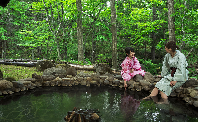 上士幌・ぬかびら源泉郷 宿泊・体験クーポン 3,000円分 北海道 十勝 旅行 トラベル ホテル 旅館 旅行券 宿泊券 宿泊チケット アクティビティー