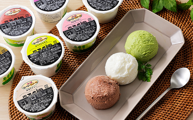 十勝もーもースイーツ ファミリーアイス バラエティセット 80ml×24個（20種） 北海道 アイスクリーム アイスミルク 卵不使用