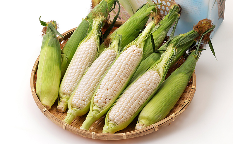 2026年分 先行予約 北海道産 ホワイトコーン 計10本 北海道 上士幌町 須田農場 野菜 白い スイートコーン とうもろこし トウモロコシ 産地直送 冷蔵便 ◆2026年08月配送予定