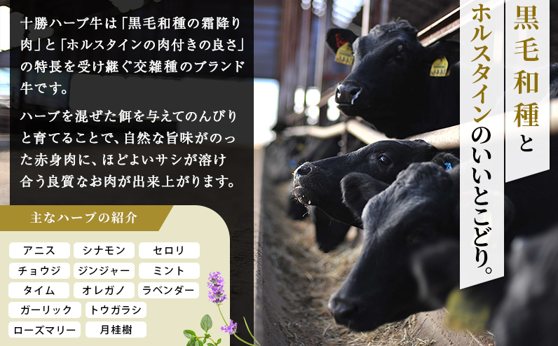 十勝ハーブ牛 国産 ホルモン ミックス 計1kg 味付き 小分け 個包装 200g×5種 ぷるぷる とろとろ 国産 北海道 牛 肉 牛肉 焼肉 キャンプ アウトドア バーベキュー BBQ 冷凍