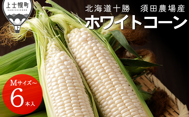 2026年分 先行予約 北海道産 ホワイトコーン 計6本 北海道 上士幌町 須田農場 野菜 白い スイートコーン とうもろこし トウモロコシ 産地直送 冷蔵便 ◆2026年08月配送予定