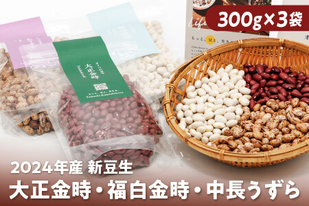 北海道 大正金時 福白金時 中長うずら 2024年産(新豆)|オリベの豆や 生豆セット(煮豆Ver.) ◆2024年12月配送 きんときまめ