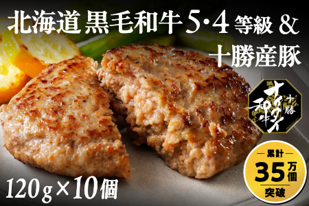 和牛 5・4等級 十勝ナイタイ和牛 ビーフ&ポークハンバーグ[120g×10個] 本物志向の冷凍牛肉ハンバーグ 北海道産 オレイン酸55%以上含有の十勝産の黒毛和牛使用ハンバーグ