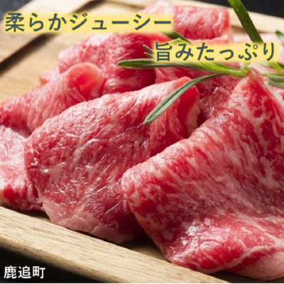 鹿追牛ロース 焼肉用 450g (鹿追牛Bセット) 225g×2 北海道十勝鹿追産【0112】【配送不可地域：離島】
