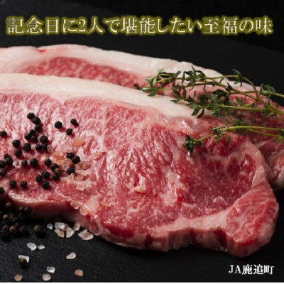 鹿追牛ロース ステーキ 450g (鹿追牛Dセット 225g×2) 北海道十勝鹿追産【0118】【配送不可地域：離島】