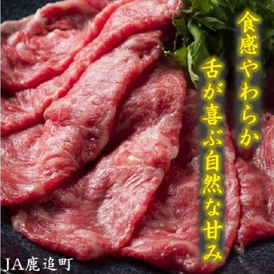 鹿追牛しゃぶしゃぶ用 450g (鹿追牛Eセット225g×2)  北海道十勝鹿追産【011A】【配送不可地域：離島】