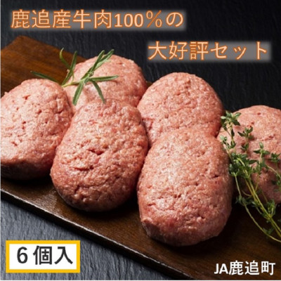 鹿追牛 ハンバーグセット 200g×6個 計1.2kg 牛肉100% 北海道十勝鹿追産【0117】【配送不可地域：離島】