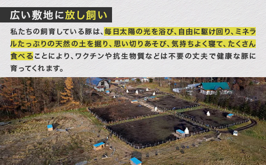 【毎月定期便】北海道十勝鹿追産 放牧黒豚 ひき肉＆切り落としセット(1,950g)定期便 全12回【配送不可地域：離島】