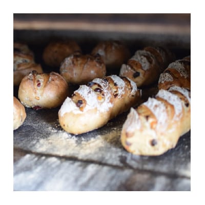 とかち産ライ麦全粒粉ブレンド・パンドカンパーニュセット(5種各1個) 北海道十勝産 パン【配送不可地域：離島】