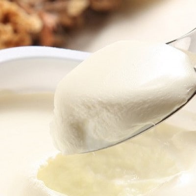 牧場手づくりセット「リコ×2」【0218】【配送不可地域：離島】