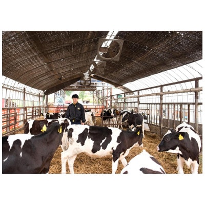 風景の牛乳 200ml×24本【配送不可地域：離島】