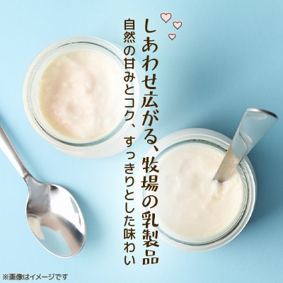 【毎月定期便】草原のヨーグルト でーでーぽっぽ セミスイート 1kg×2個全6回【配送不可地域：離島】