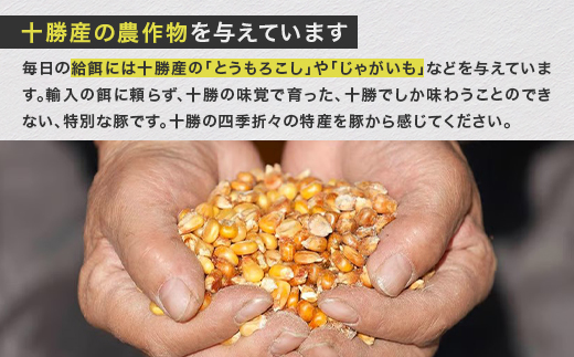 北海道鹿追産 自然放牧黒豚 無添加 生ソーセージセット(3種各150g×2パック)【配送不可地域：離島】