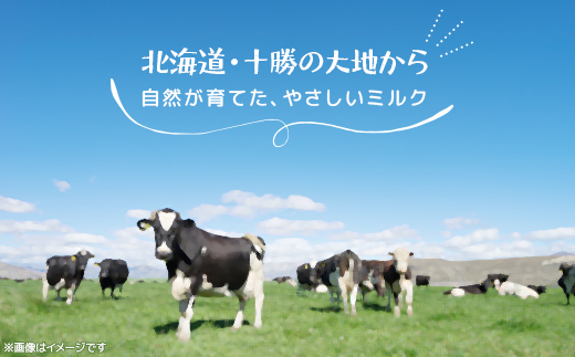 【カントリーホーム風景】牧場てづくりギフト「ピリカ」 ヨーグルト ミルクコーヒー セット　4種計6点【配送不可地域：離島】