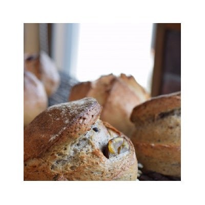 とかち産ライ麦全粒粉ブレンド・パンドカンパーニュセット(5種各1個) 北海道十勝産 パン【配送不可地域：離島】