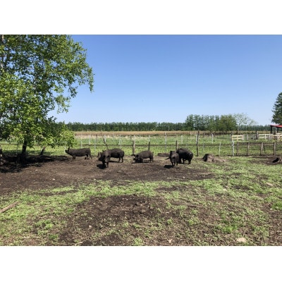 鹿追産 自然放牧黒豚 十勝名物 豚丼セット(ロース200g×3・肩ロース200g×2・たれ1本)【配送不可地域：離島】