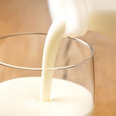 牧場手づくりセット「リコ×2」【0218】【配送不可地域：離島】