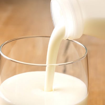 牧場手づくりセット「ラッテ」【0219】【配送不可地域：離島】