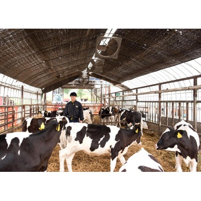 【セット】風景の牛乳 900ml　牧場てづくりのむヨーグルト 900g　各1本【配送不可地域：離島】