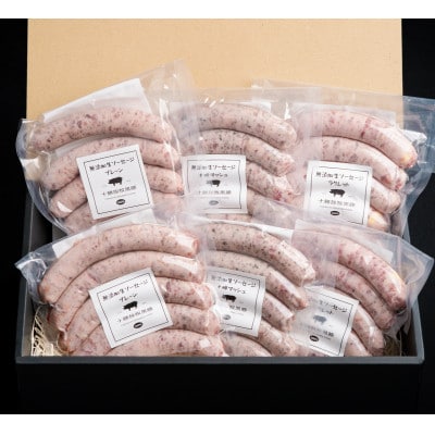 【毎月定期便】北海道十勝鹿追産 放牧黒豚 無添加 生ソーセージ 定期便【1915】全12回【配送不可地域：離島】