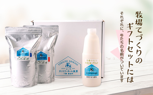 【カントリーホーム風景】 牧場手づくりセット「メラ」北海道 十勝 ヨーグルト【0223】【配送不可地域：離島】