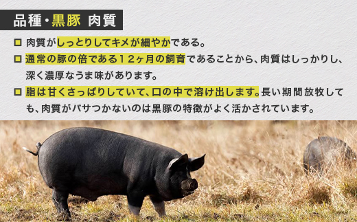 【毎月定期便】北海道十勝鹿追産 自然放牧黒豚 圧巻の豚 肉おまかせ定期便 全12回【配送不可地域：離島】