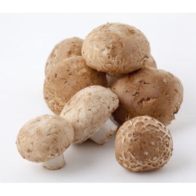 北海道鹿追産 自然放牧黒豚 無添加 生ソーセージセット(3種各150g×2パック)【配送不可地域：離島】