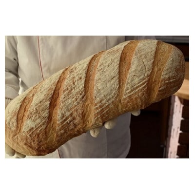 とかち産「焙煎ふすま」のとかち有機ふすまカンパーニュセット 5種9個 北海道十勝産 パン【配送不可地域：離島】