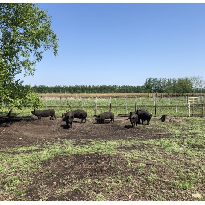 鹿追産 自然放牧黒豚 生ソーセージ(3種各150g)＆豚ジンギスカン(300g×3)の贅沢セット【配送不可地域：離島】