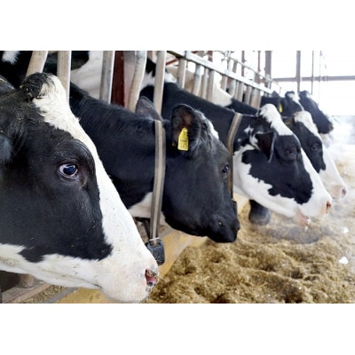 【セット】風景の牛乳 900ml　牧場てづくりのむヨーグルト 900g　各1本【配送不可地域：離島】