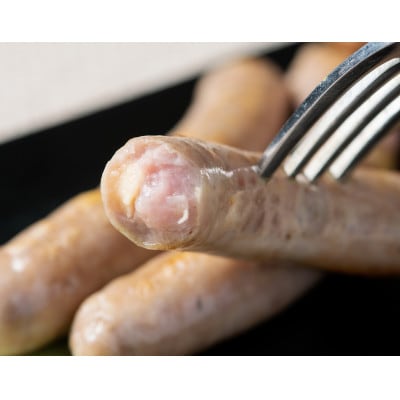 【毎月定期便】北海道十勝鹿追産 放牧黒豚 無添加 生ソーセージ 定期便【1915】全12回【配送不可地域：離島】