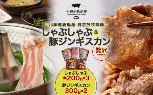 鹿追産 自然放牧黒豚 しゃぶしゃぶ(各200g×3)＆豚ジンギスカン(300g×2)の贅沢セット【配送不可地域：離島】