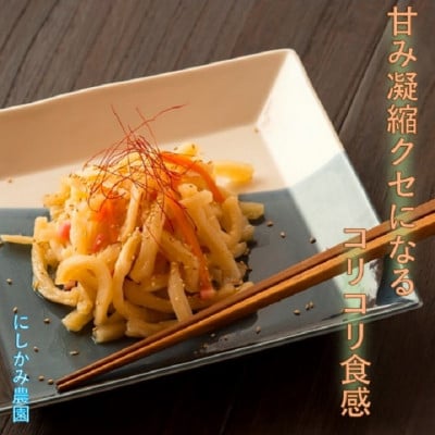 切干大根「だいこんはえらい」100g×8袋【0613】