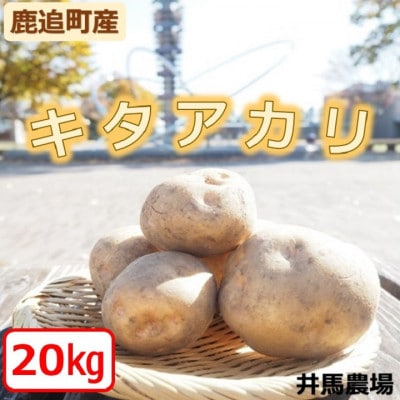 イマファームのキタアカリ19kg 北海道十勝鹿追町産じゃがいも【1802】