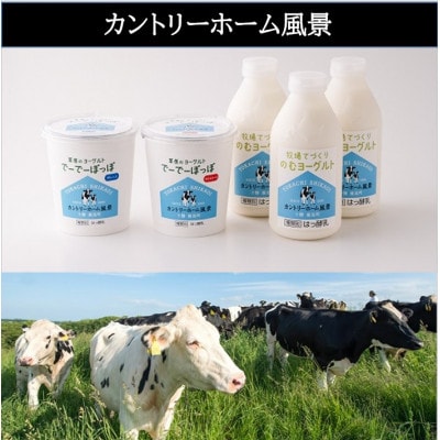 牧場手づくりセット「ラッテ」【0219】【配送不可地域：離島】