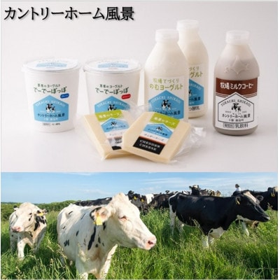 牧場手づくりセット「アイリス」【0221】【配送不可地域：離島】