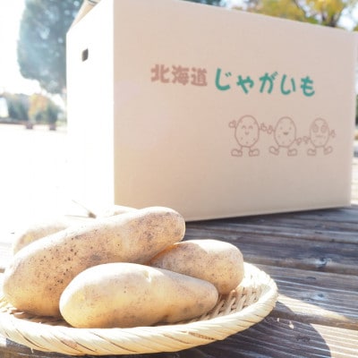 イマファームのメークイン19kg 北海道十勝鹿追町産じゃがいも【1803】