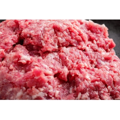 【毎月定期便】北海道十勝鹿追産 放牧黒豚 ひき肉＆切り落としセット(1,950g)定期便 全12回【配送不可地域：離島】