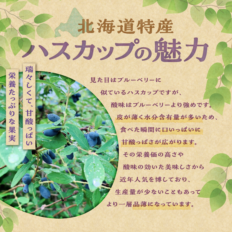 【2026年発送先行予約！】とかちしみずフルーツガーデンのハスカップ&ラズベリーセット_S009-0017