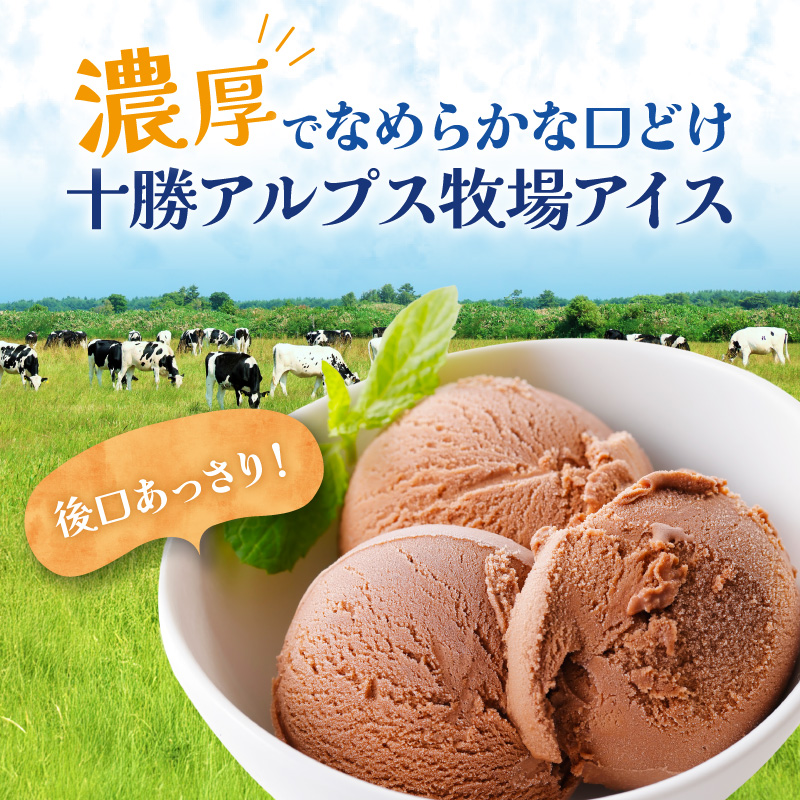 十勝アルプス牧場 濃厚ショコラアイス6個セット _S020-0018