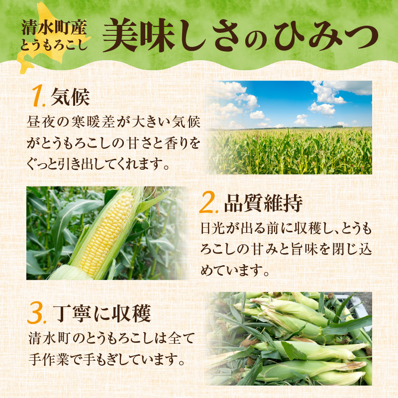 【2026年8月～発送開始!】黄金の甘さ ゴールドラッシュ!サイズ混合 10～12本_S021-0019