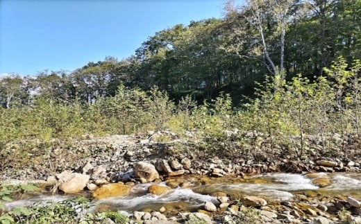 十勝ワッカの森キャンプ場 サウナチケット_S033-0004